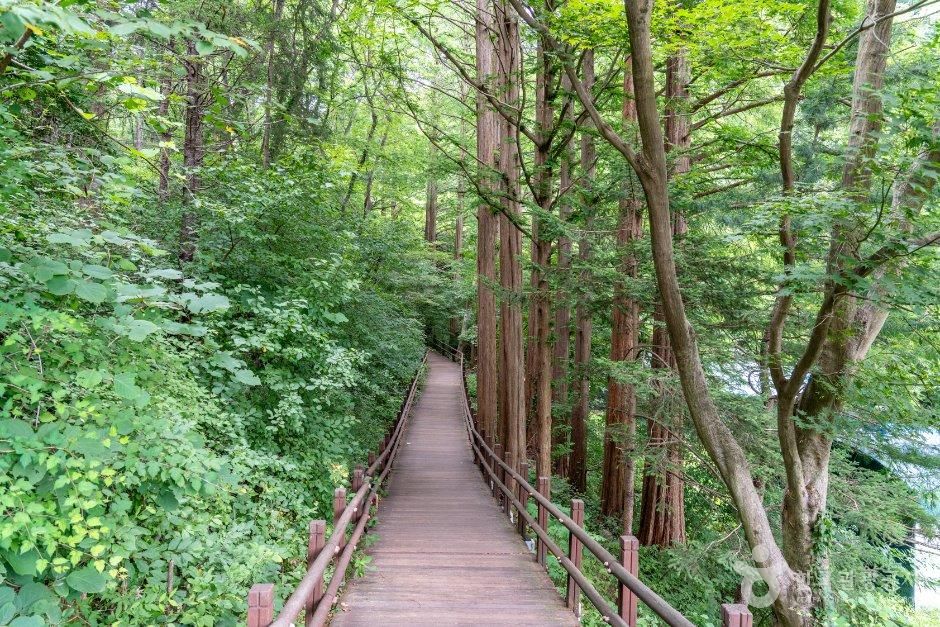 경기_의왕시_청계산맑은숲공원 (3).jpg