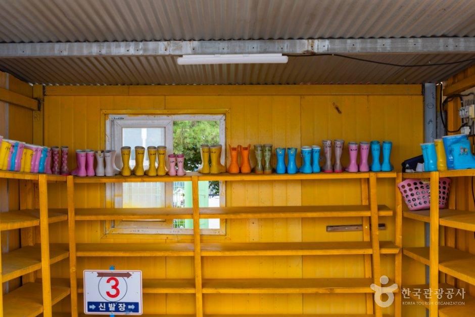 충남_서천군_선도리갯벌체험마을 (3).jpg