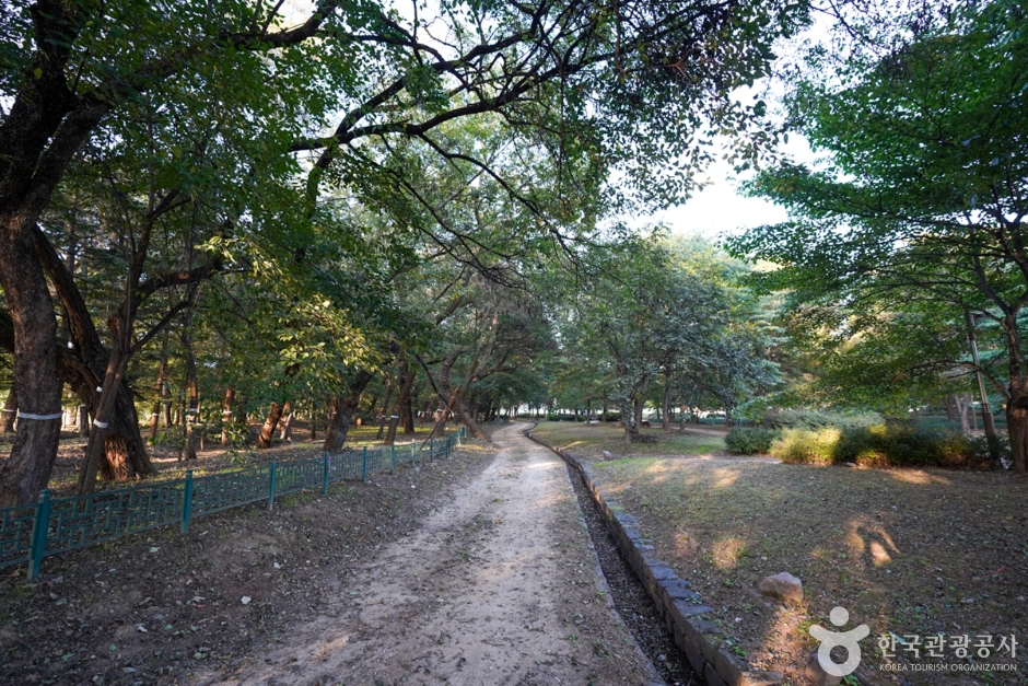 義城 沙村里 並木