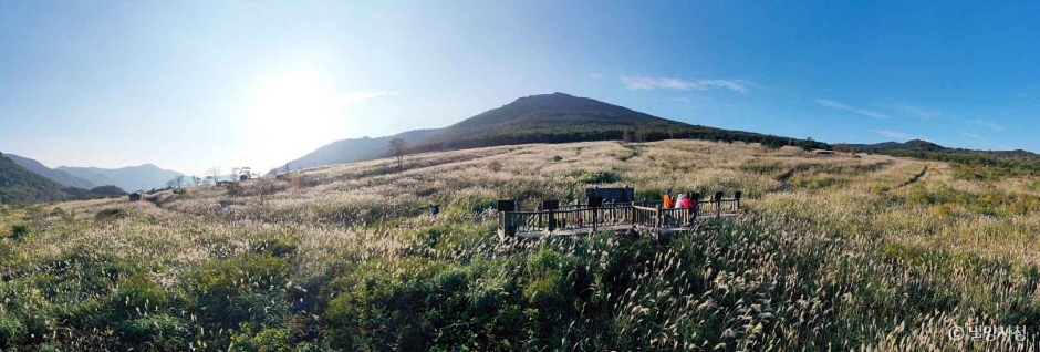 Sajapyeong Highland Wetland (Yeongnam Alps Sajapyeong Silver Grass Healing Trek)