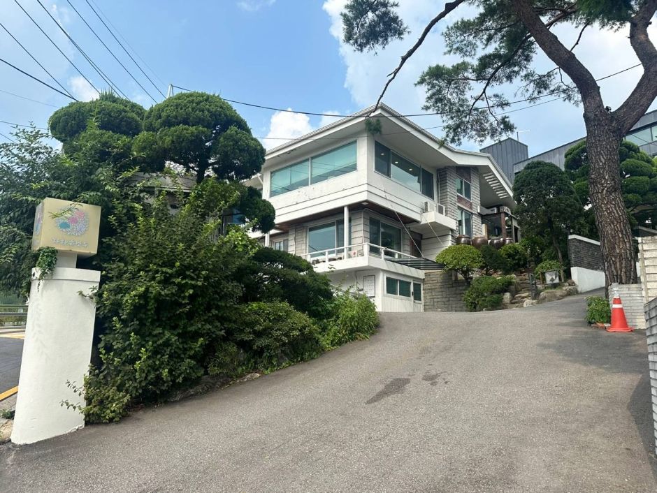 紫霞手工饺子