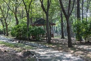 인천_드림파크 주민체육공원 (12)