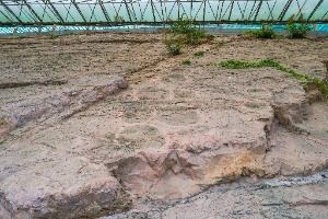 의성 제오리 공룡발자국 화석산지