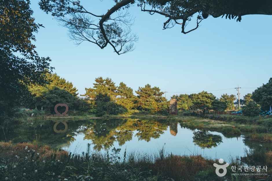 婚姻池