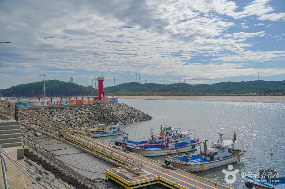 鶴岩港