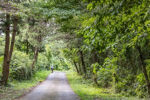 [제주올레 14-1코스] 저지-서광 올레