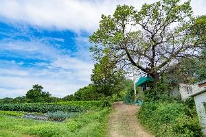 화성가시리마을