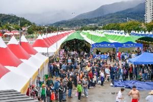 2025 경북영주 풍기인삼축제 2