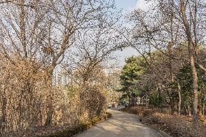 대모산도시자연공원
