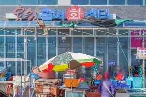 용원활어회센터