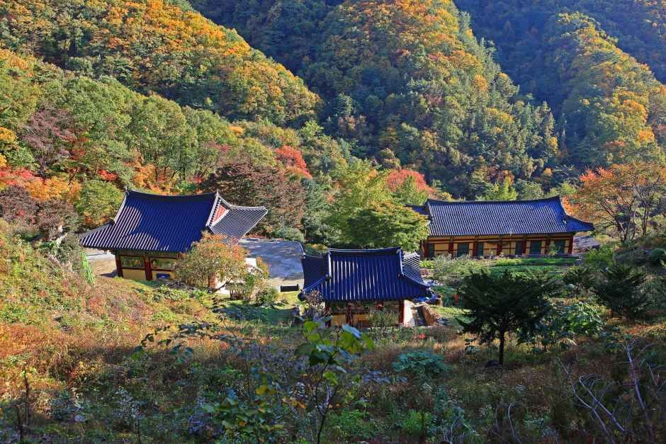 원주_치악산 영원사 (3).JPG