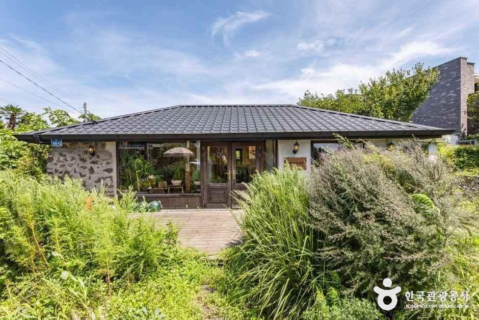 뚜띠콜로리 뮤제오