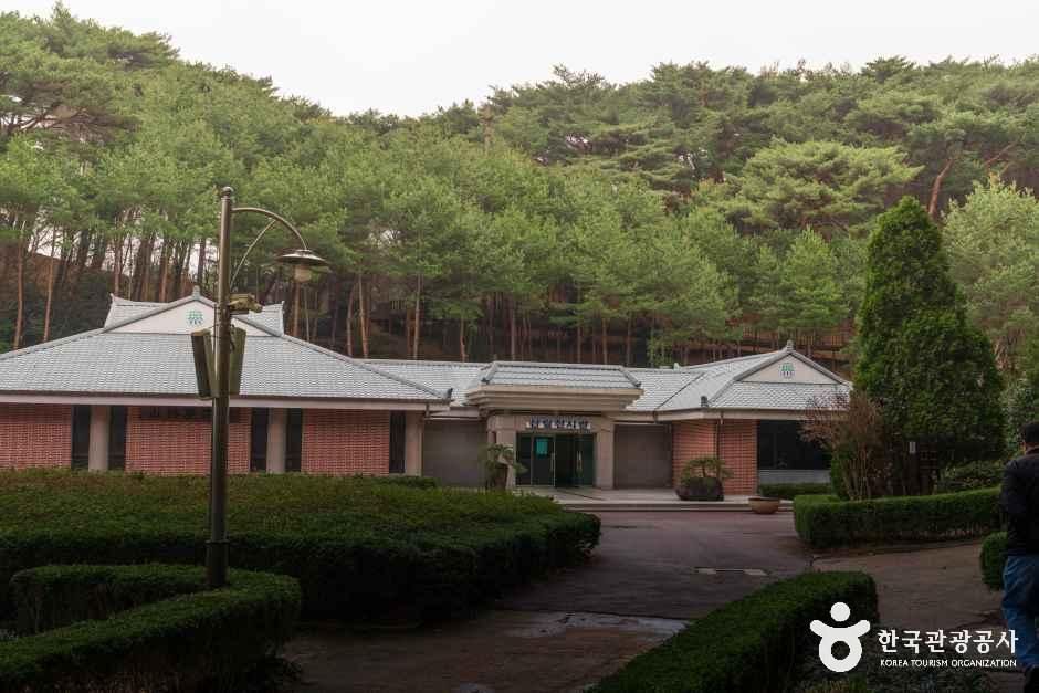 4057452 image2 1 예스키즈존 탐험대 : 실패 없는 육아여행