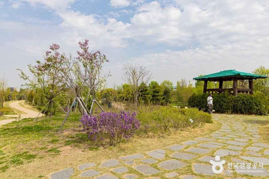 인천_계양구_계양꽃마루 (3)