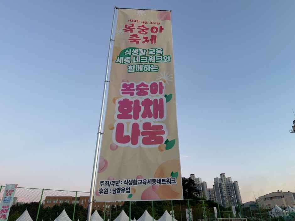 2026 세종 조치원 복숭아 축제 (4).JPEG