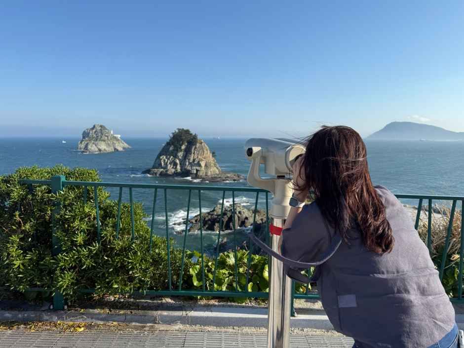 Pasarela Panorámica de la Isla Oryukdo