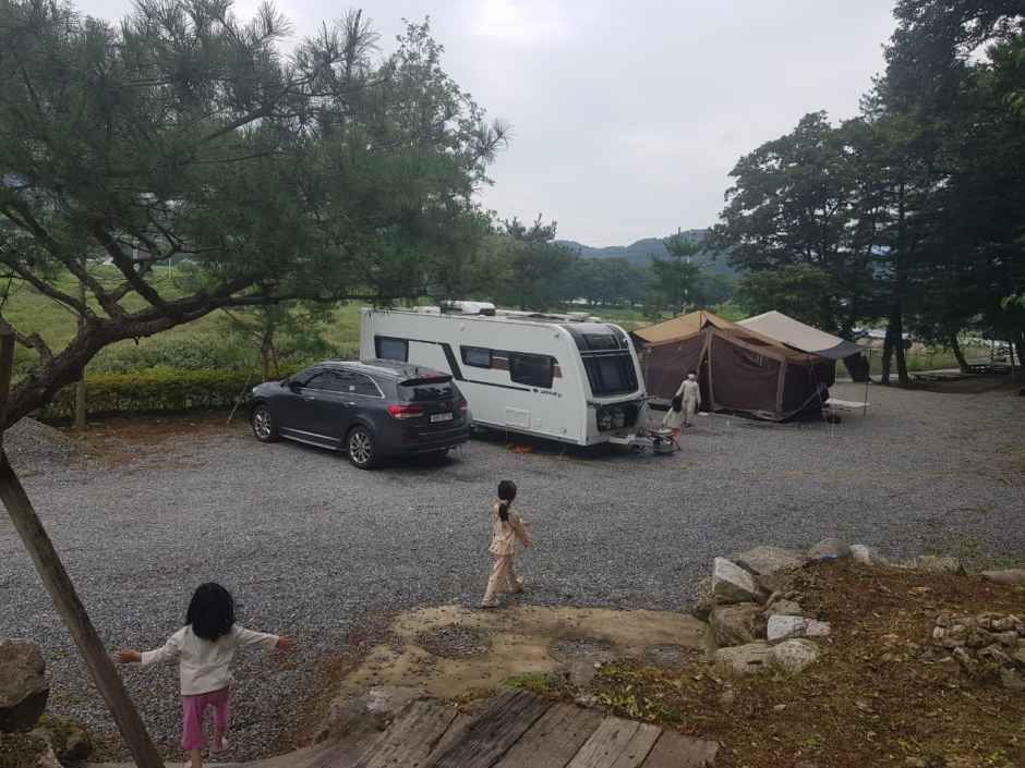 읍내리75-1캠핑장