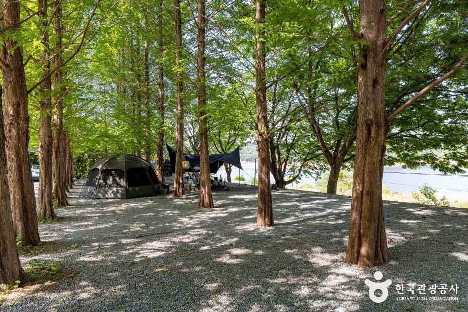 청풍호반 오토캠핑장
