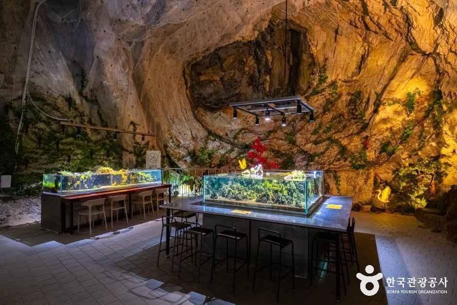 충주 활옥동굴