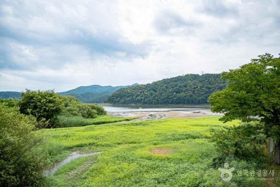 동명지수변생태공원 사진 6