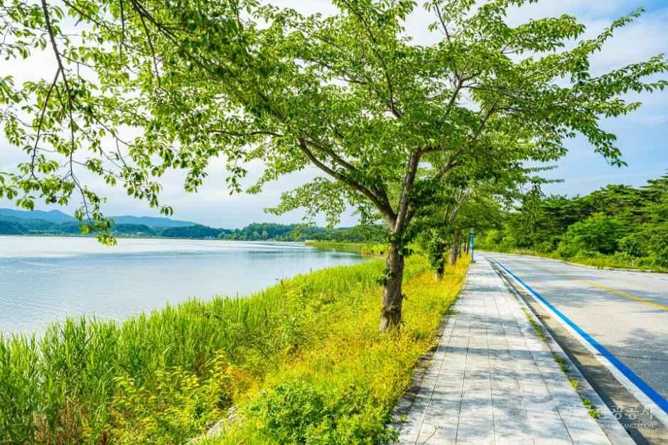 [해파랑길] 49코스 사진 1