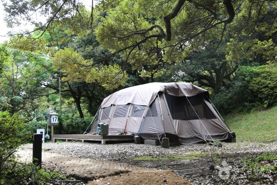 돈내코 원앙폭포 반려동물 여행 사진 7