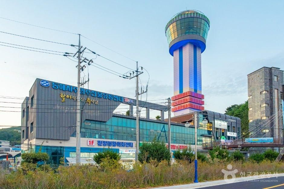 전망대활어회센터 (묵호항전망대)