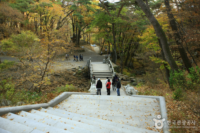 팔공산자연공원(동화사지구) 팔공산자연공원(동화사지구)