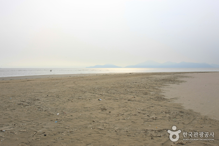 다대포해수욕장 다대포해수욕장