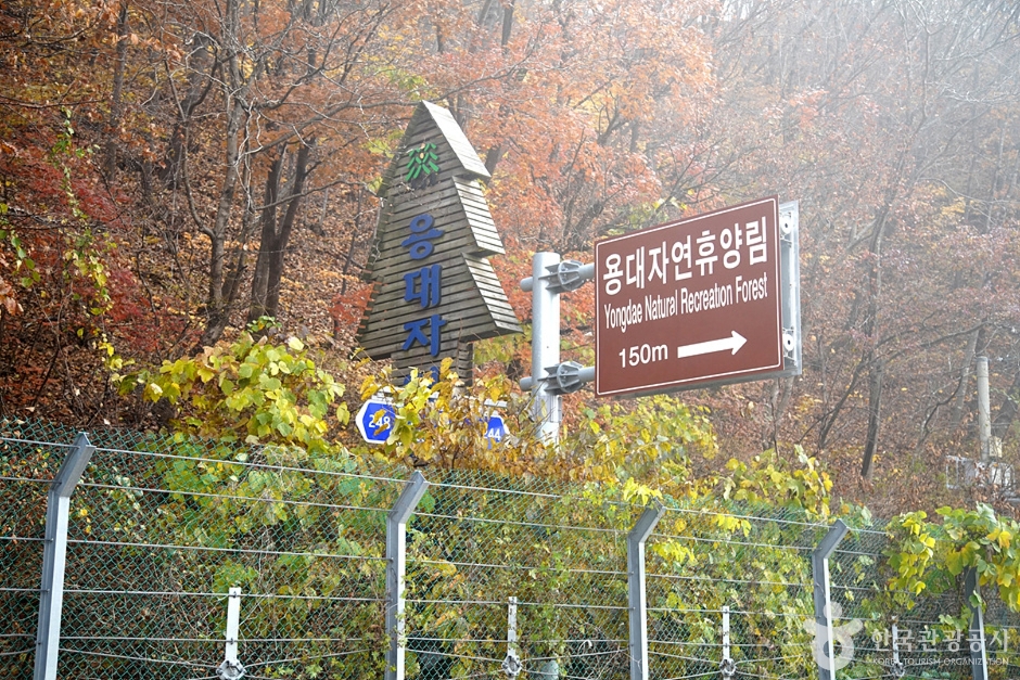 国立 龍台自然休養林