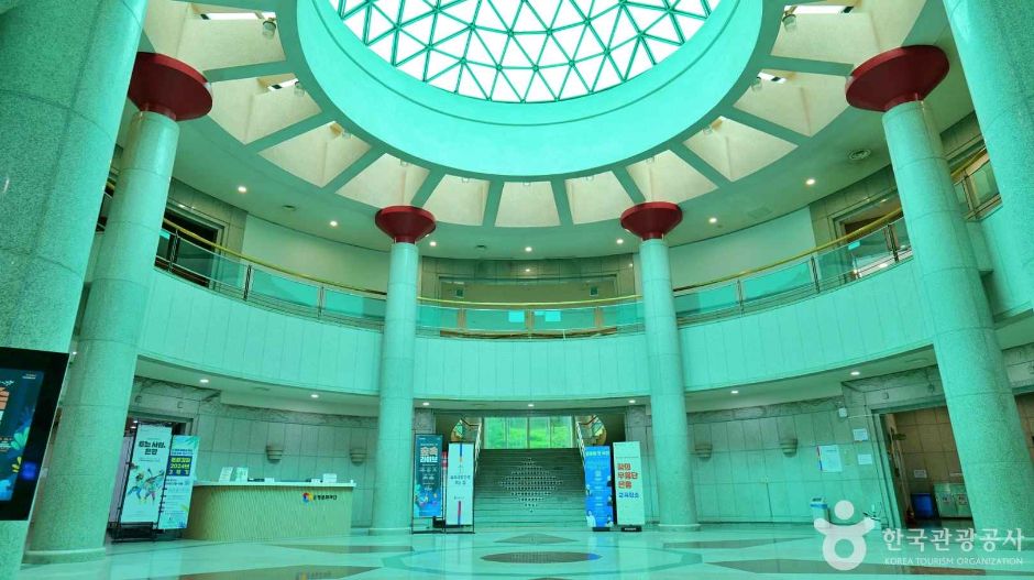 3384453 image2 1 예스키즈존 탐험대 : 실패 없는 육아여행