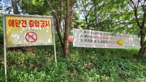 쌍계사(안산)