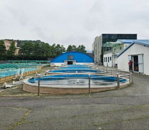 경기도해양수산자원연구소민물고기생태학습관 사진 8
