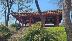 양과동정 사진 2