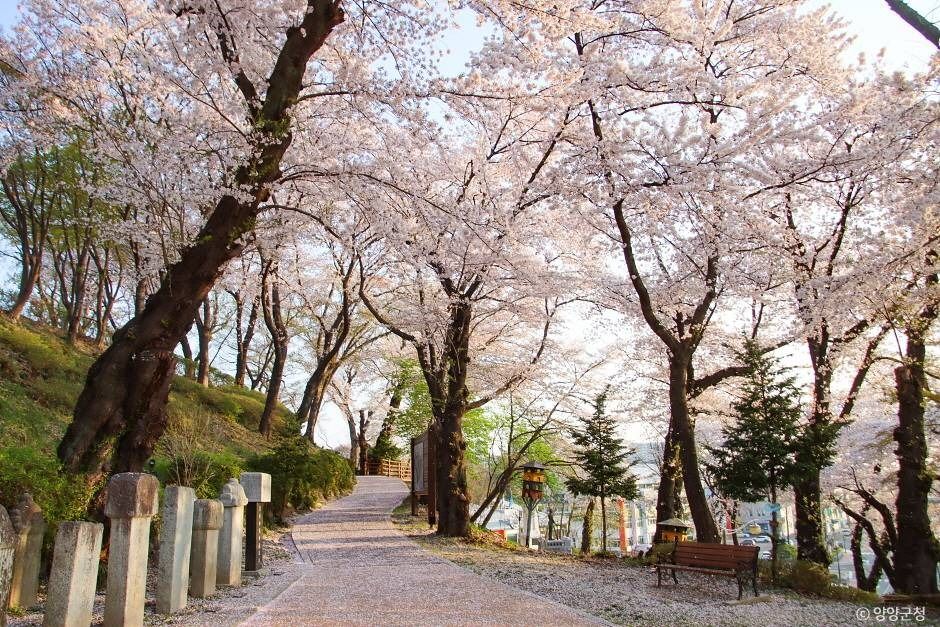 玄山公园