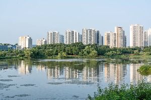 배다리생태공원