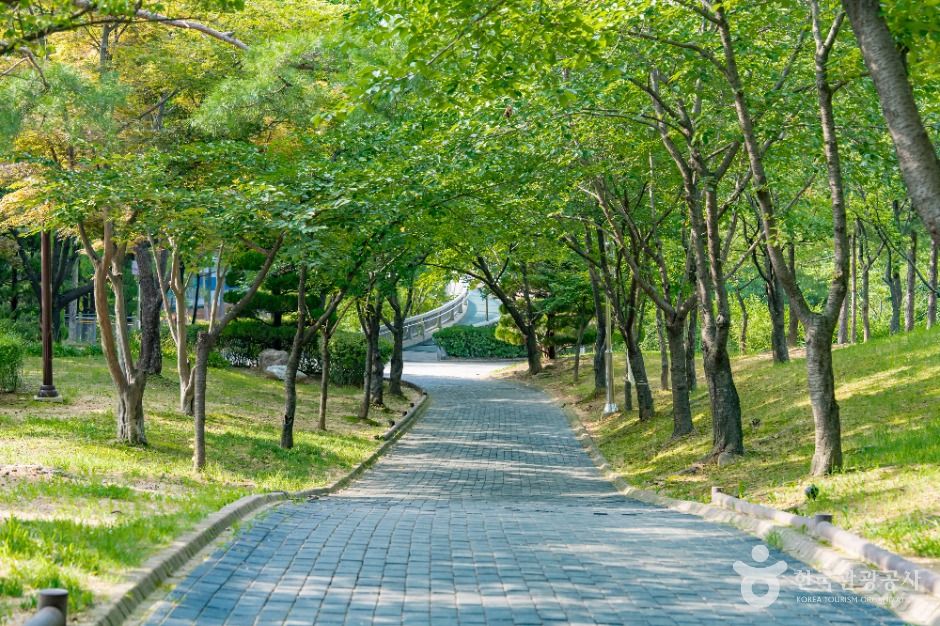 비둘기공원
