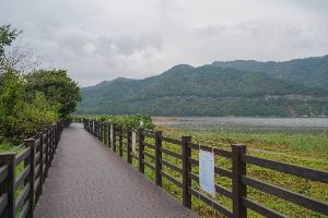 회동수원지 둘레길