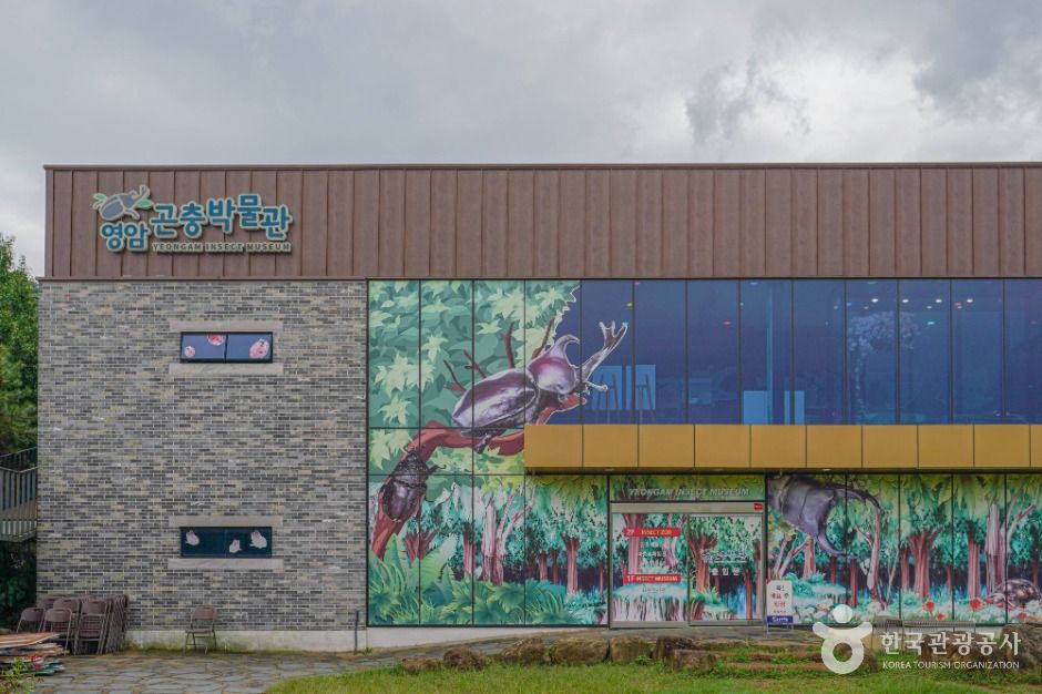 Yeongam Insect Museum