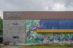 영암곤충박물관