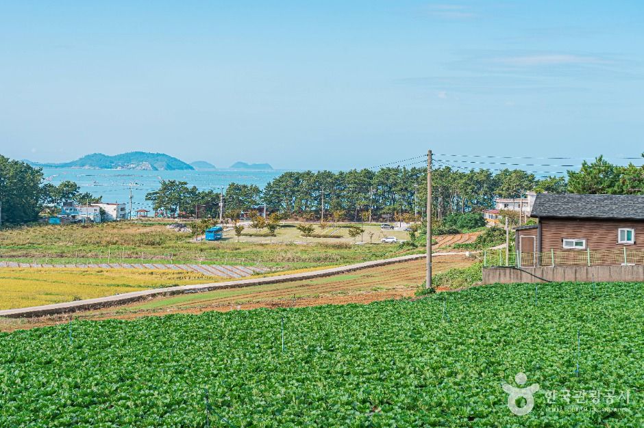 땅끝송호마을