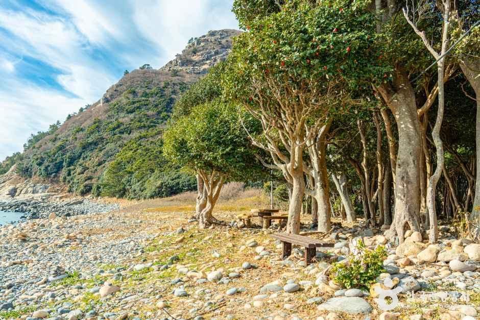 보옥리 공룡알해변