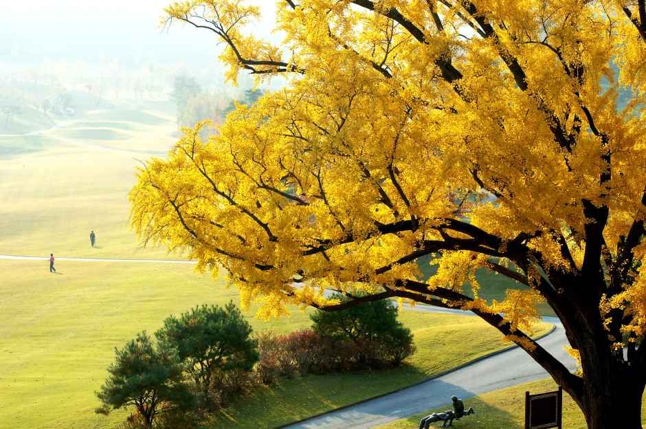 용인_글렌로스 골프클럽 (5).JPG