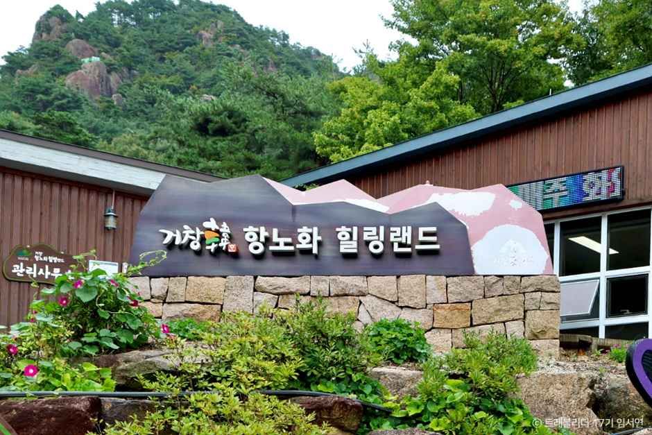 居昌抗衰老治愈乐园