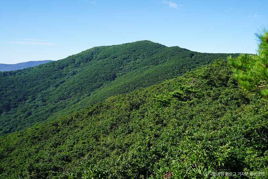 구례_지리산 만복대 (3).jpg