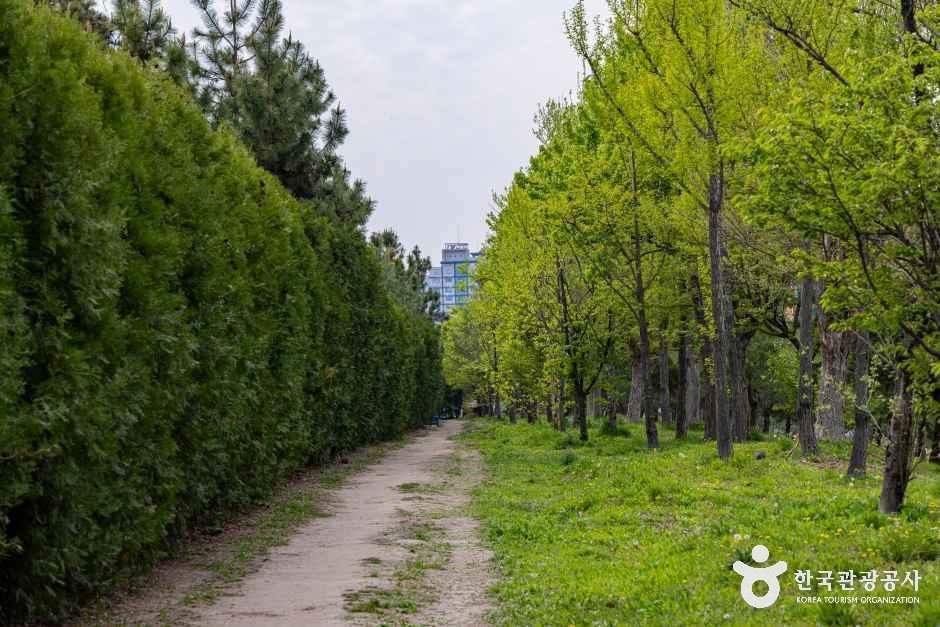 인천_계양구_계양꽃마루 (4)