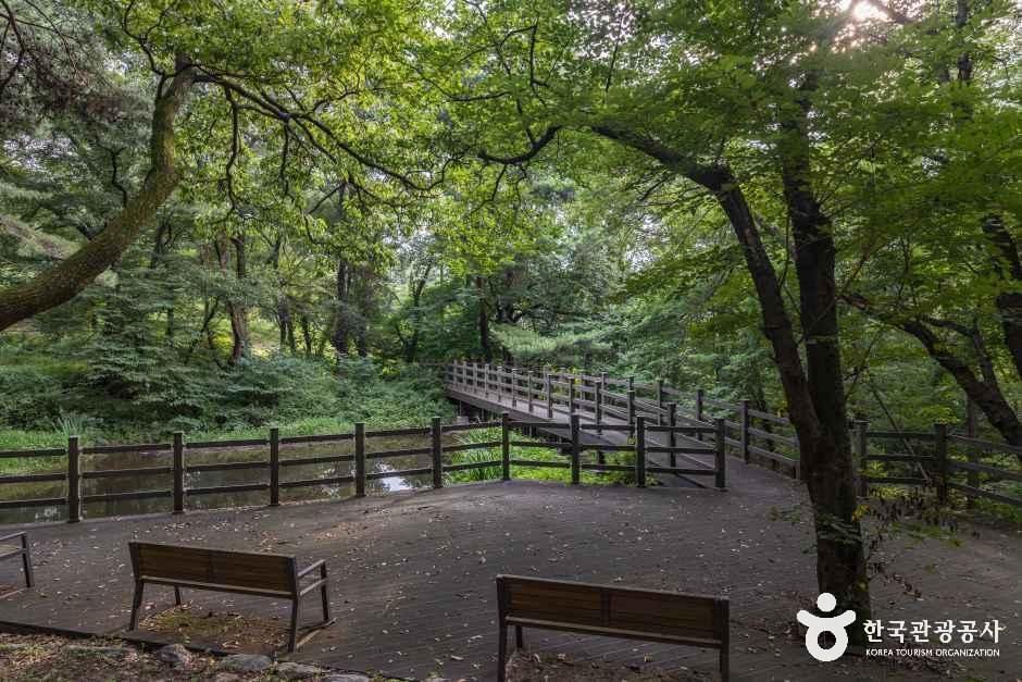 인천_마니산 치유의 숲 (10).jpg