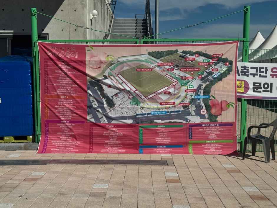 2026 세종 조치원 복숭아 축제 (5).jpg