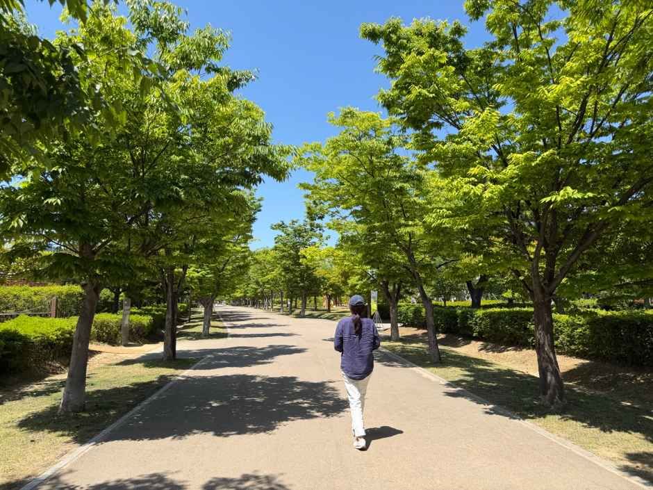 Parque de los Ciudadanos de Busan