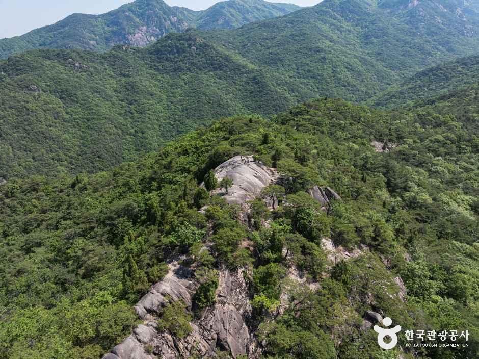 작은동산